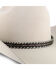 Image #1 - Colorado Horsehair Single Tassel Hat Band, Natural, hi-res