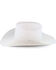 Image #3 - Resistol Men's 20X Tarrant Felt Hat, Silver Belly, hi-res