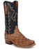 Image #1 - Dan Post Men's Araprima Exotic Pirarucu Western Boots - Square Toe, Brown, hi-res