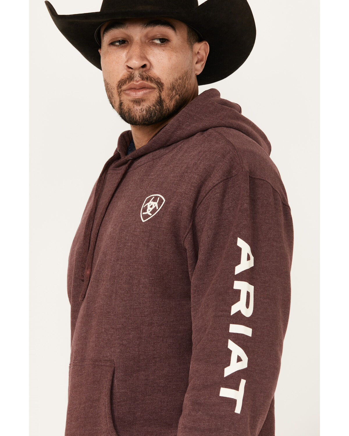 Image #2 - Ariat Men's Logo Sleeve Hooded Sweatshirt - Tall, , hi-res