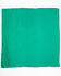 Image #2 - Kelly Green Jacquard Silk Wild Rag, Kelly Green, hi-res