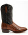 Image #2 - Dan Post Men's Exotic Caiman 12" Western Boots - Medium Toe, Brown, hi-res