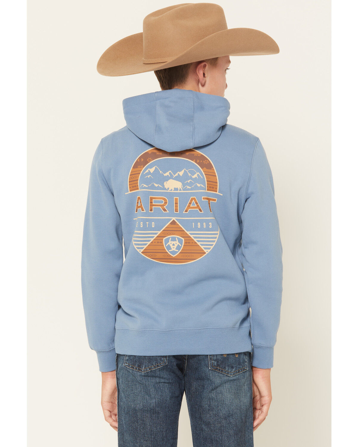 Ariat Boys' Logo Valley Graphic Hooded Sweatshirt, Teal, hi-res