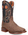Image #1 - Dan Post Men's Elephant Print Performance Western Boots - Broad Square Toe, Brown, hi-res