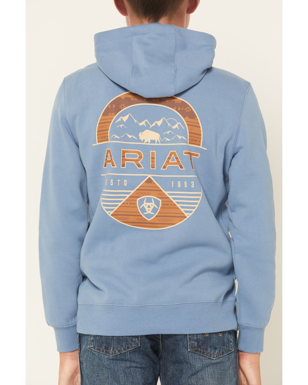 Image #4 - Ariat Boys' Logo Valley Graphic Hooded Sweatshirt, Teal, hi-res