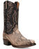 Image #1 - Dan Post Men's Exotic Python Western Boots - Square Toe, Chocolate, hi-res