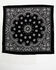 Image #3 - Idyllwind Women's Black Delray Bandana Necklace , Black, hi-res