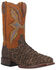 Image #1 - Dan Post Men's Dorsal Sea Bass Exotic Western Boots - Broad Square Toe, Chocolate, hi-res