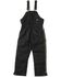 Image #1 - Dickies Men's Duck Insulated Bib Overalls, Black, hi-res