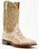 Image #1 - Dan Post Men's Exotic Python Western Boots - Broad Square Toe , Natural, hi-res