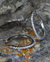 Image #2 - Montana Silversmiths Women's Silver Classic Hoop Earrings, Silver, hi-res