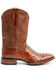 Image #2 - Cody James Black 1978&reg; Men's The Hayward Exotic Ostrich Western Boots - Broad Square Toe, Cognac, hi-res