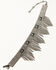 Image #1 - Wonderwest Women's Fringe Choker, Pewter, hi-res