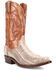 Image #1 - Dan Post Men's Exotic Cobra Western Boots - Snip Toe , Natural, hi-res