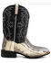 Image #2 - Dan Post Men's Kauring Snake Exotic Western Boots - Broad Square Toe, Black, hi-res