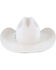 Image #4 - Resistol Men's 20X Tarrant Felt Hat, Silver Belly, hi-res